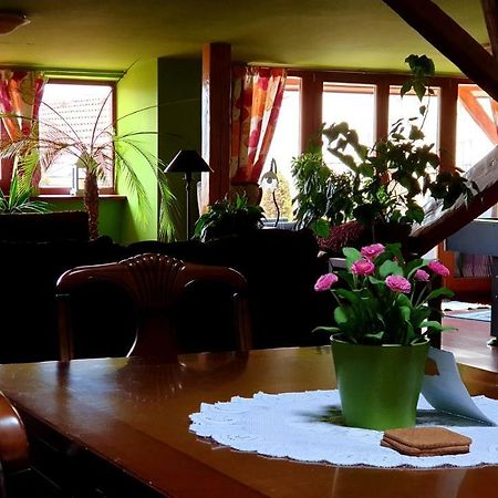 Apartament Luxury Oldtown Loft 320M2 On Hlavna Street Koszyce Zewnętrze zdjęcie